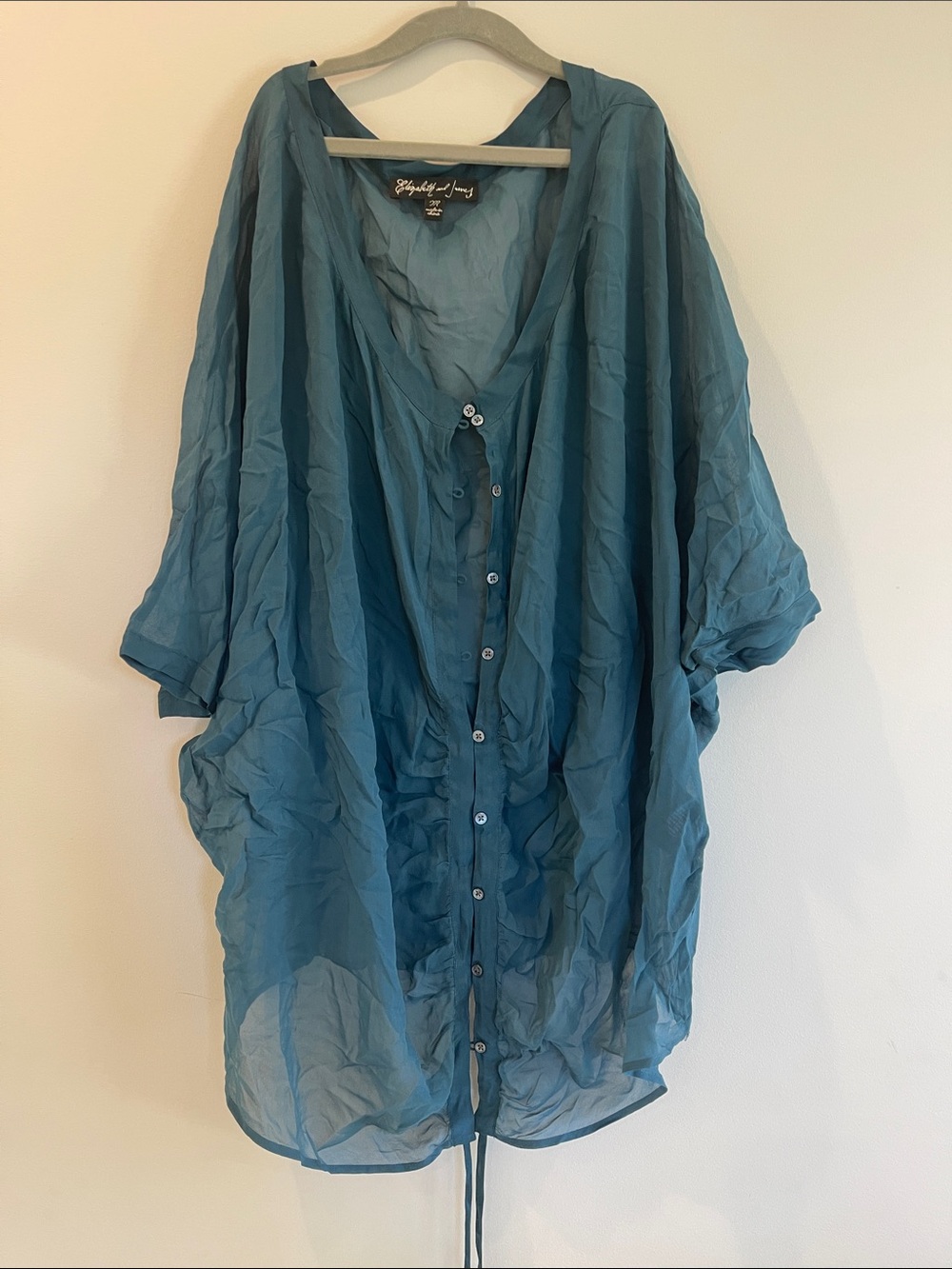 Elizabeth and James Teal Sheer Button-Front Top